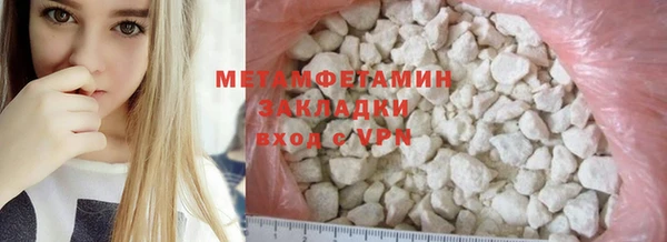 прущие грибы Балахна