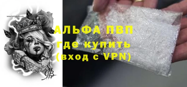 прущие грибы Балахна