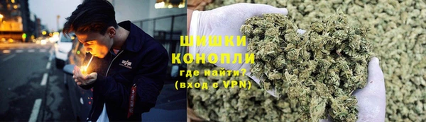 прущие грибы Балахна