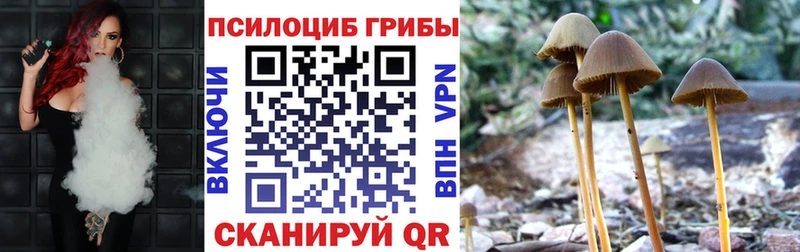 Галлюциногенные грибы Psilocybe  наркошоп  Вяземский 